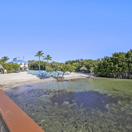 Vitamin Sea Tavernier Luaran gambar